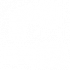 solvent